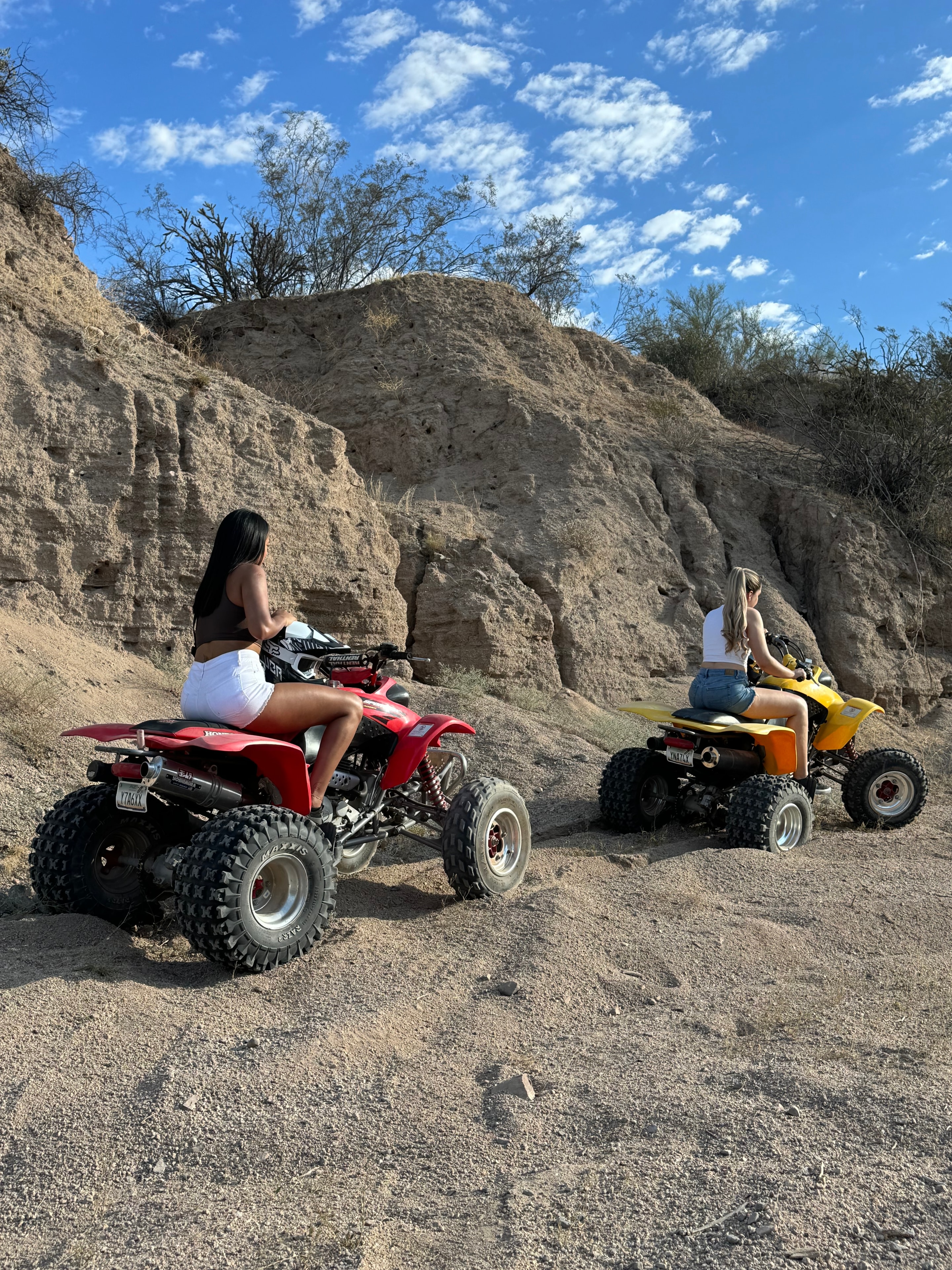 Beast Mode ATV acción