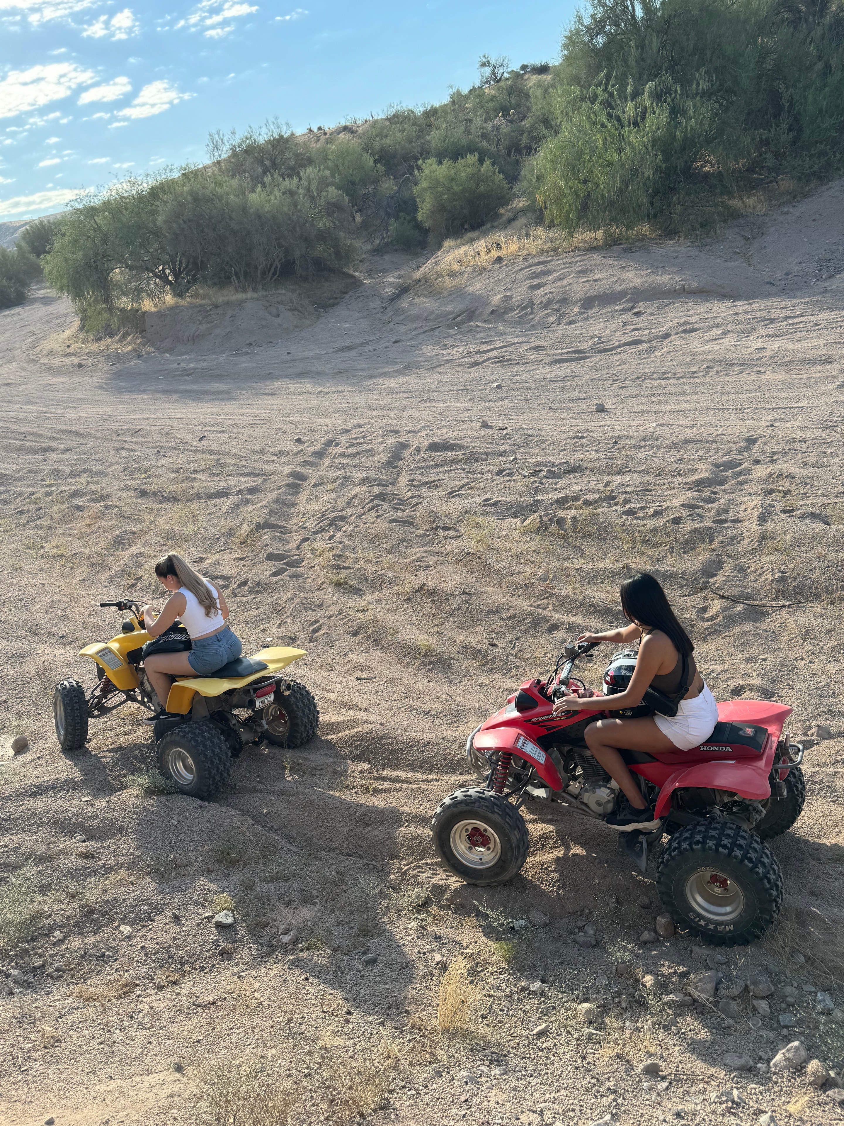Beast Mode ATV acción