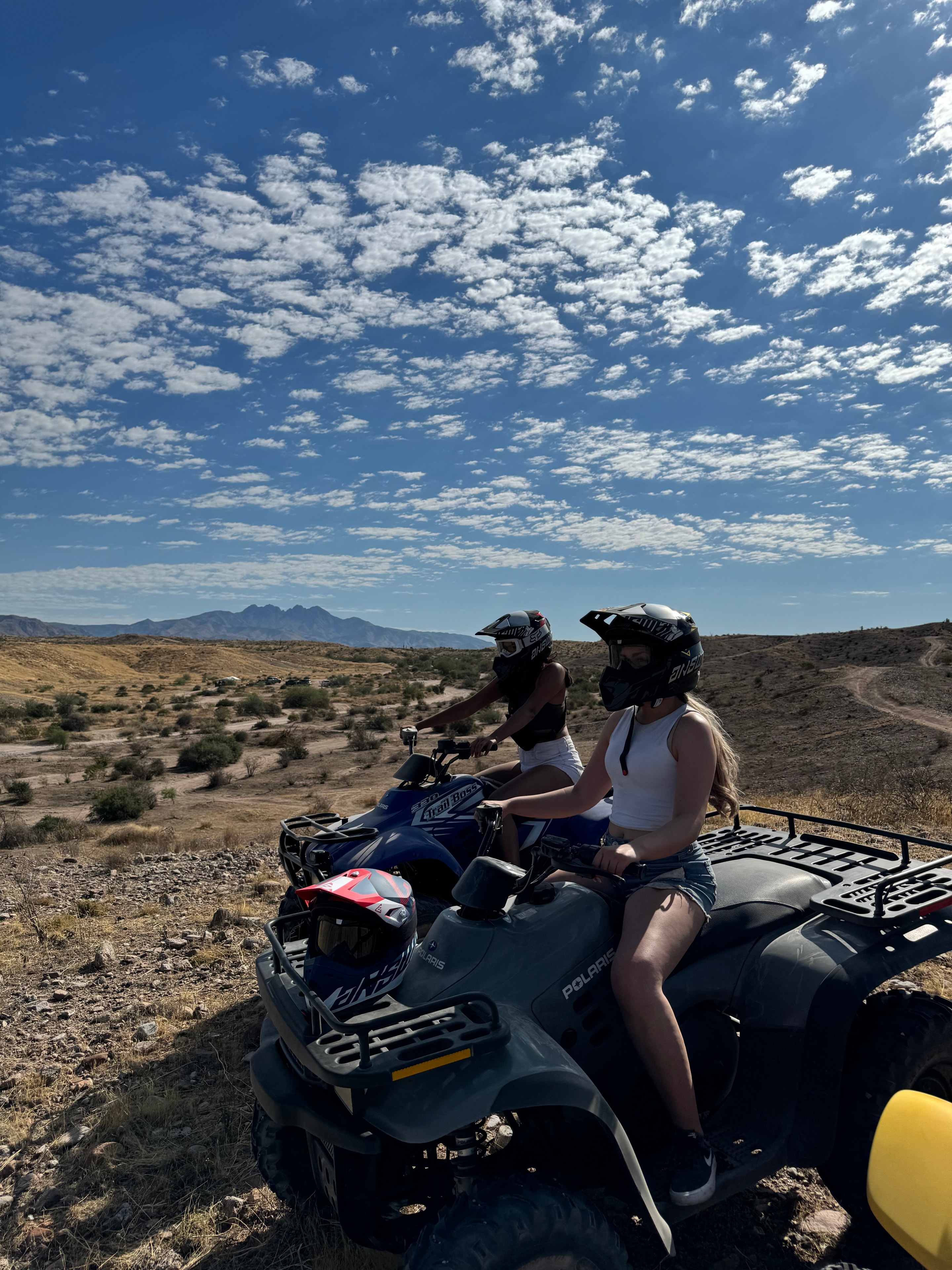 Beast Mode ATV aventura