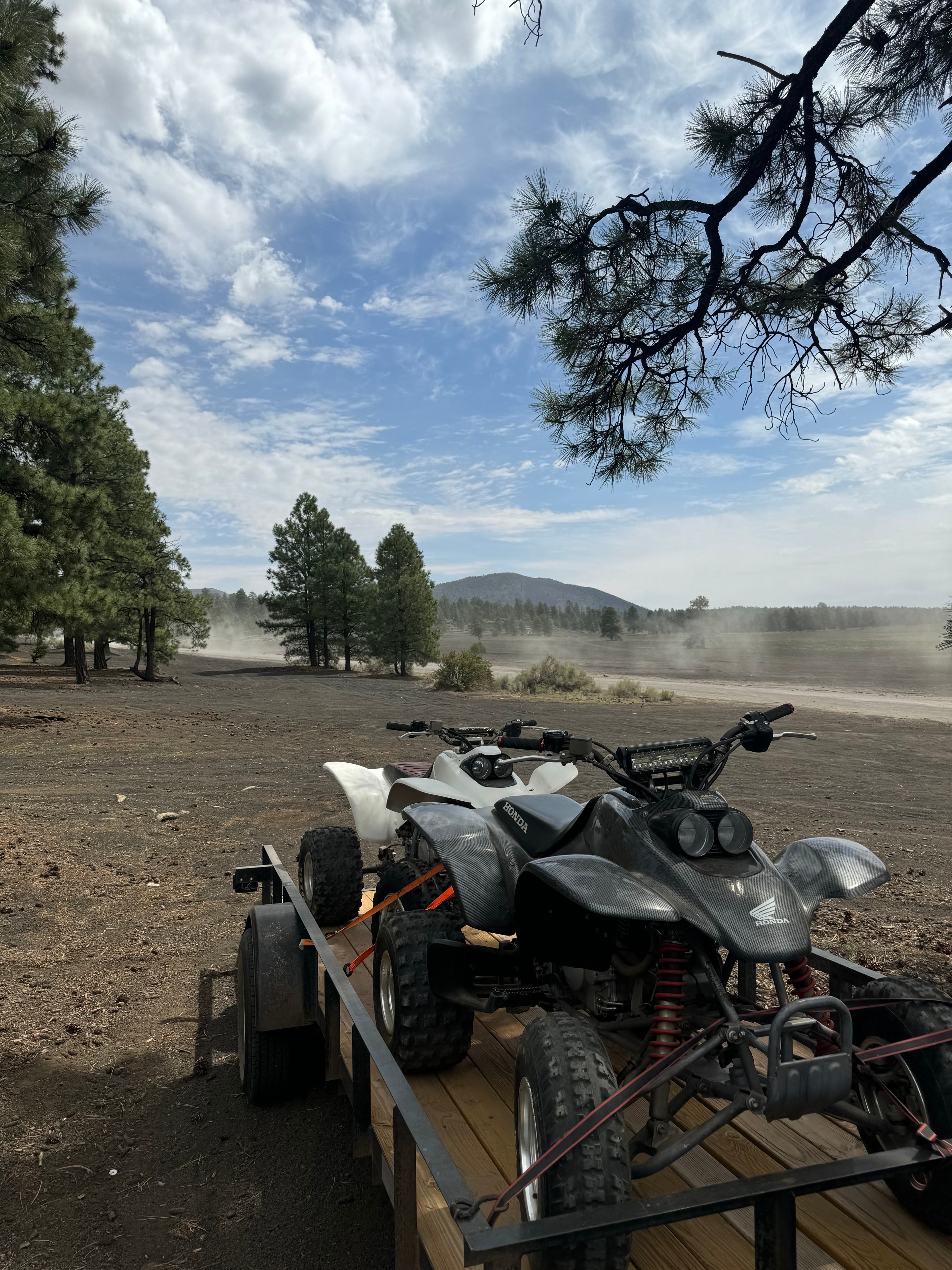 Beast Mode ATV aventura