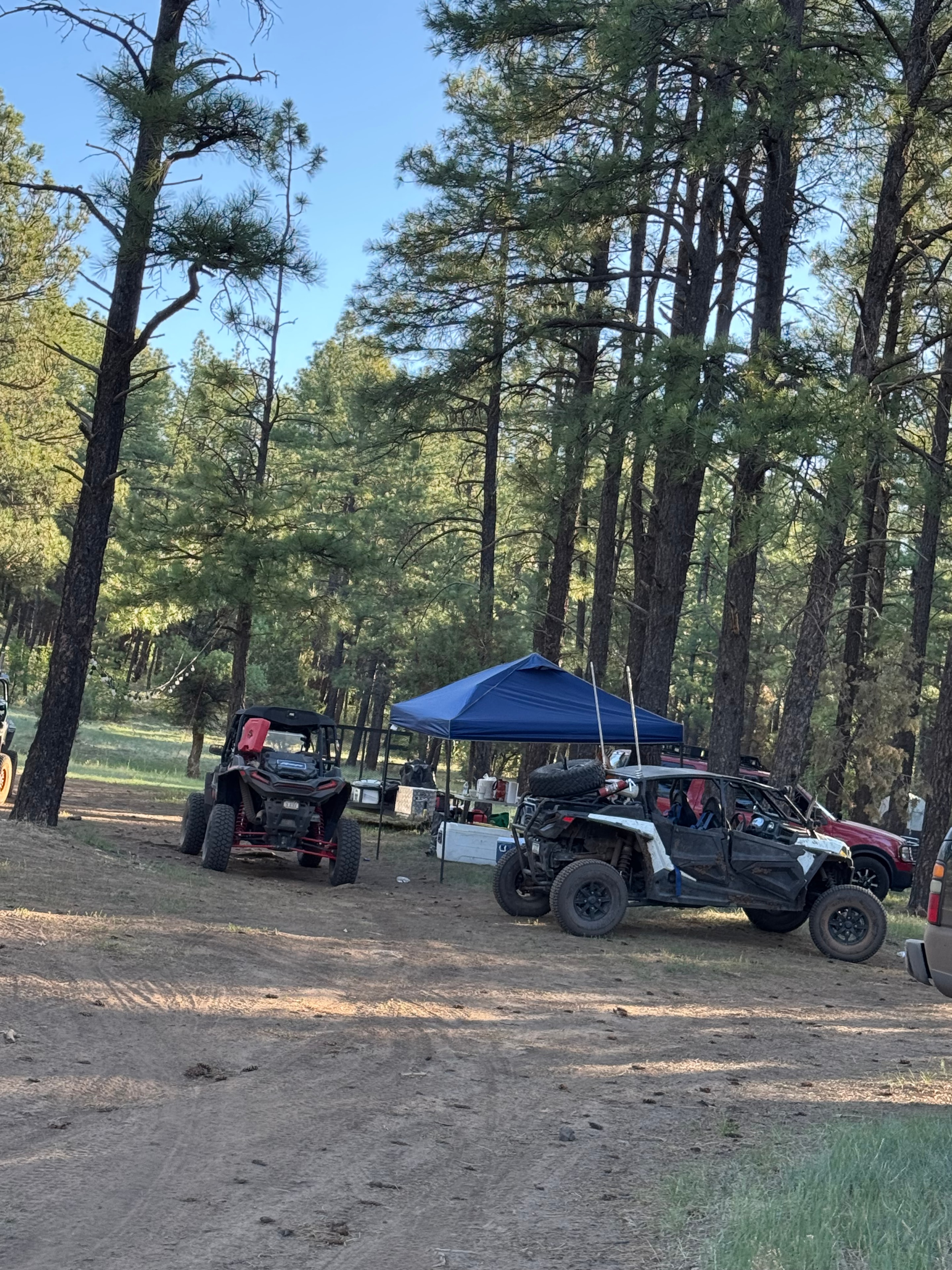 Beast Mode ATV aventura